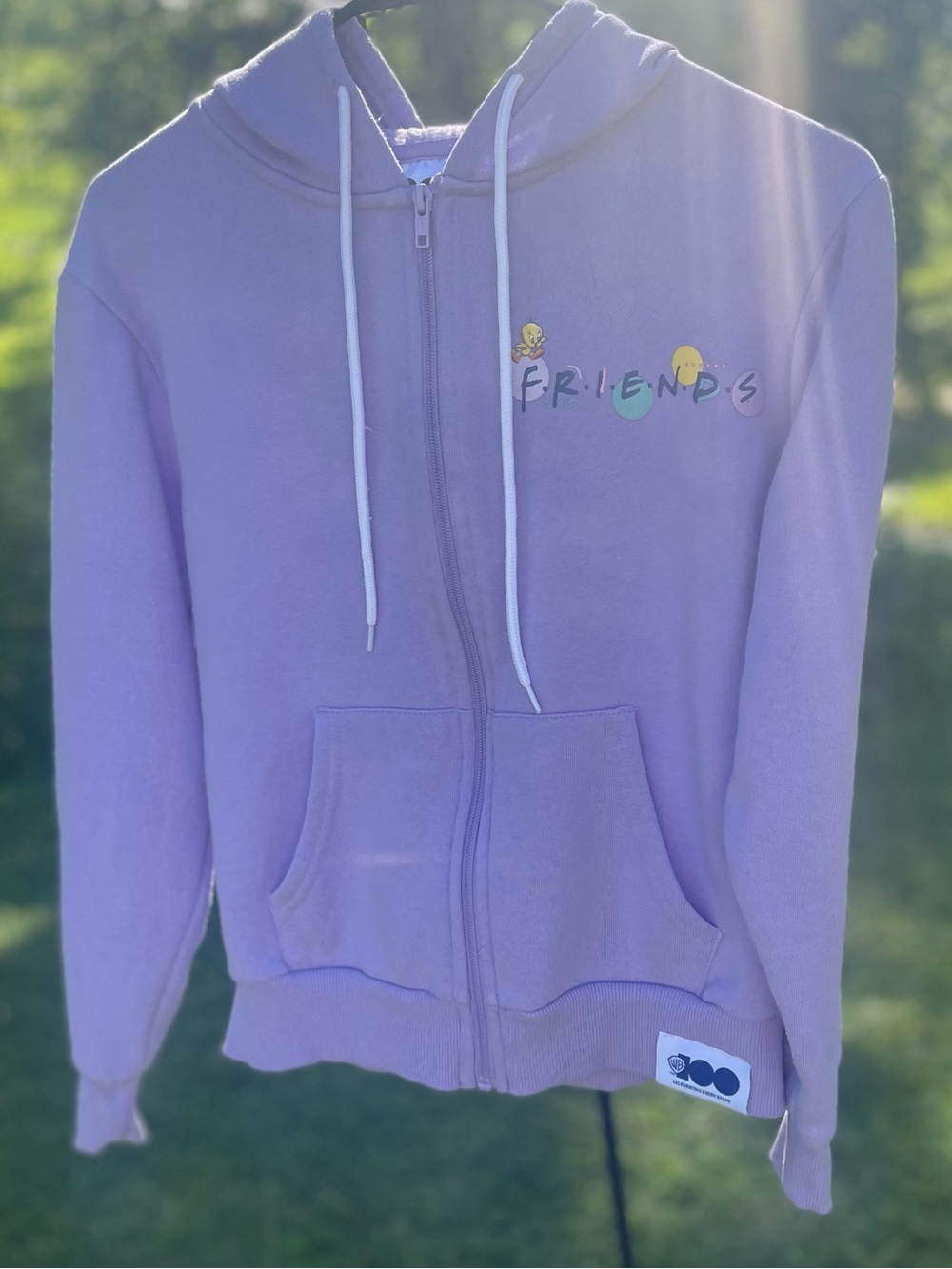 Lilac Warner Brother 'FRIENDS' Zip-Up Hoodie with Graphic